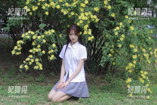 导航陪你走，zztt黑料官网可不止是看八卦那么简单！